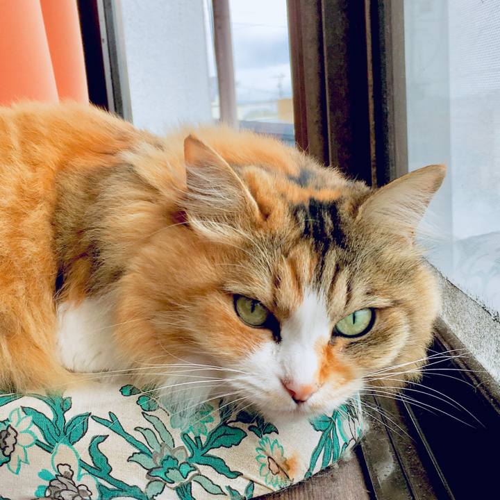 F9f932de facb 4af5 b2d2 ce8ba40986a0 1562384118896