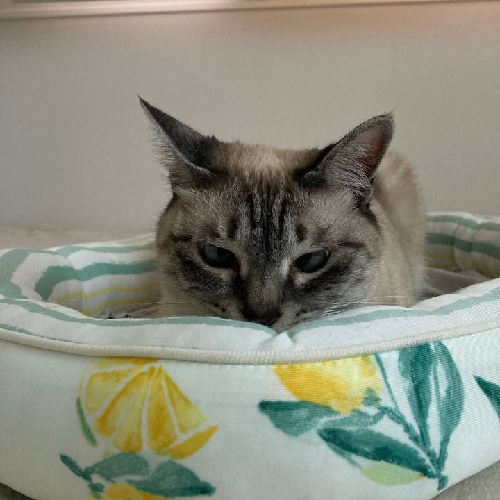 F9f94e59 6cba 4a93 aab9 6435cfcdec89 1686569761801