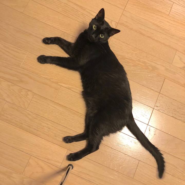 F9f97005 a774 4d5f b2e5 c2e67d59ca72 1532261486611