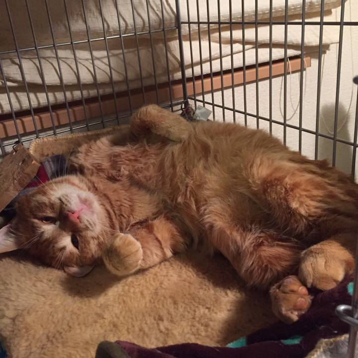 F9f9dae9 989c 4119 8b0f 1977a9ad69cc 1519649281729