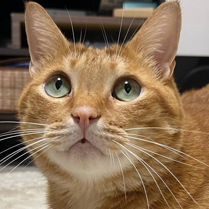 F9f9e1ba f362 4c31 9796 c1e1048d77d2 1660964539037