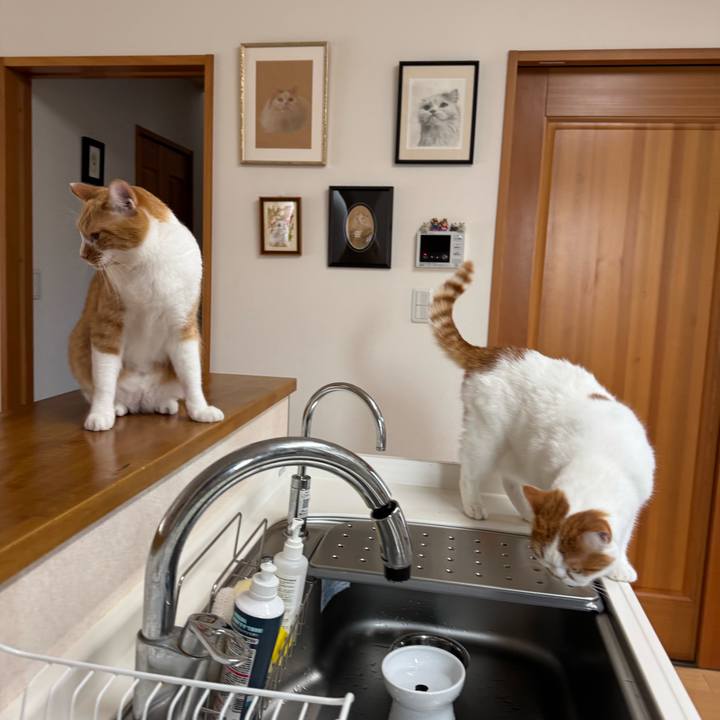 F9fa025f b3f9 4be5 b701 abfed56f9f75 1762310905564