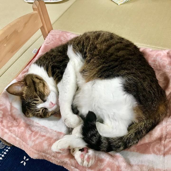 F9fa05e8 ae1b 4c42 932b f760186554cd 1526440026829