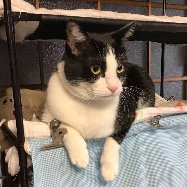 F9fa1248 8b90 4608 b2e7 1a882e368686 1734220485868