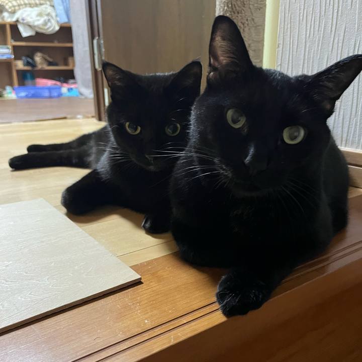 F9fa4079 824f 43fe 8b3e 43ca6f2c6d26 1723882479419