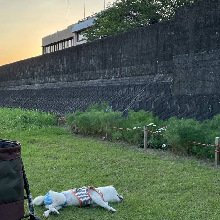 F9fa5d38 8863 4ab4 8930 b2757df66e09 1656680162593