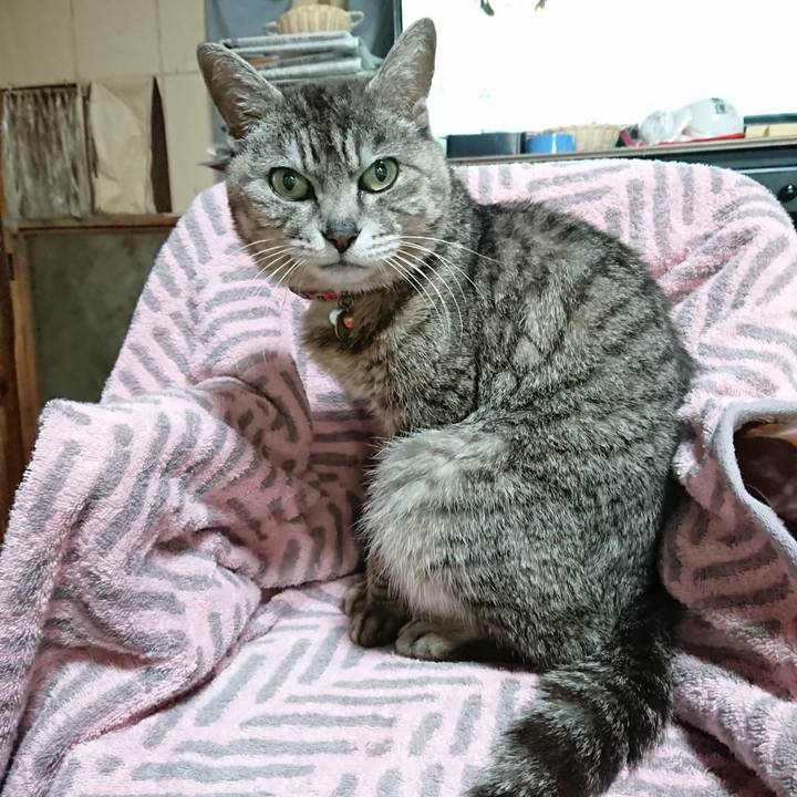 F9fa919f 4add 4ffd a1dd 5561695cf156 1590011631973