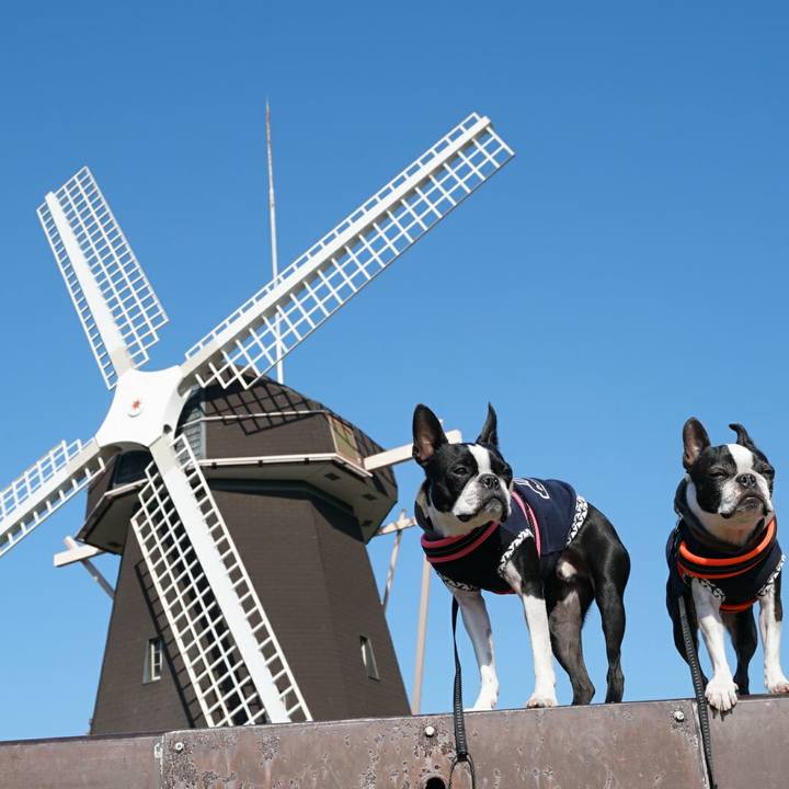 F9fa9801 4a33 4fac b48c b38ce290670a 1512290486874