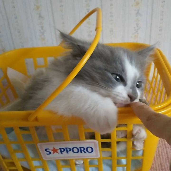 F9faa739 9845 4ec8 8142 b69d9a587870 1618095867114