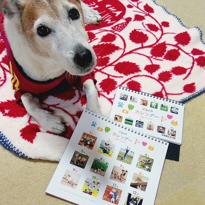 F9fb07ed 13f4 494a 97a7 a9aea9a29935 1575203421829