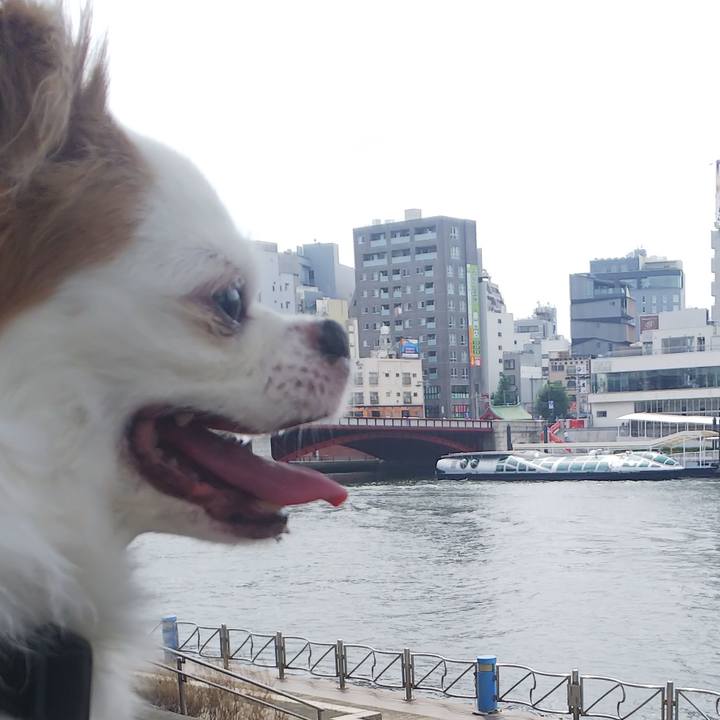 F9fb5baa 00d6 4f85 a402 5fcba645775f 1593236673813