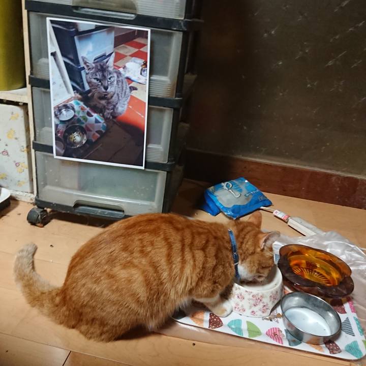 F9fb8b51 aa5d 4d3f b1fc 81a34b60faa0 1600027522711