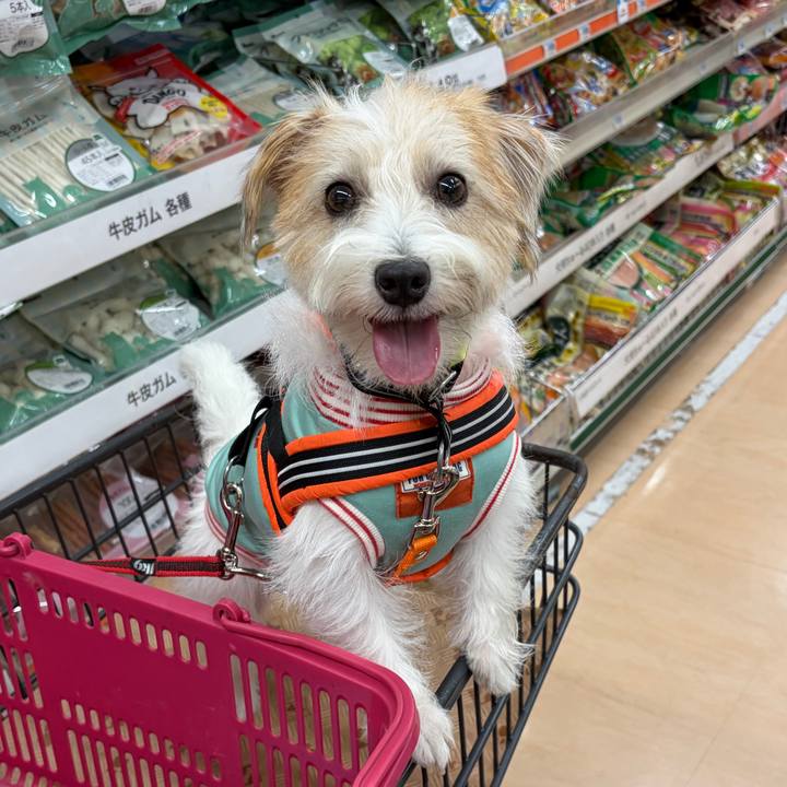 F9fbfa78 ce64 47dd 8326 ce2517863d9d 1759052815417