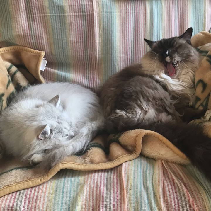 F9fc0ddf a70d 4698 800c 798a296ae7f9 1581329950357