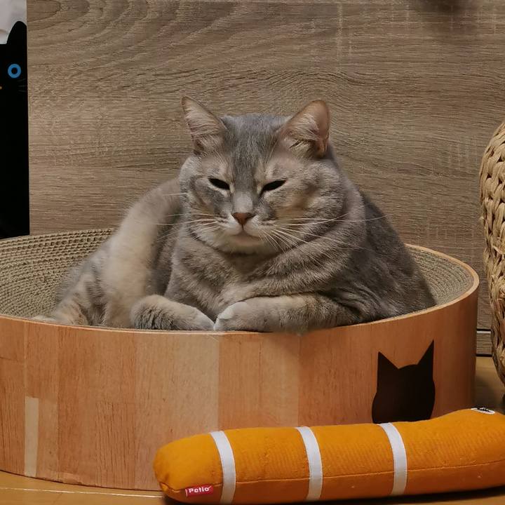 F9fc1ba6 2b85 4f93 b2cc 4279225023d4 1637503844941