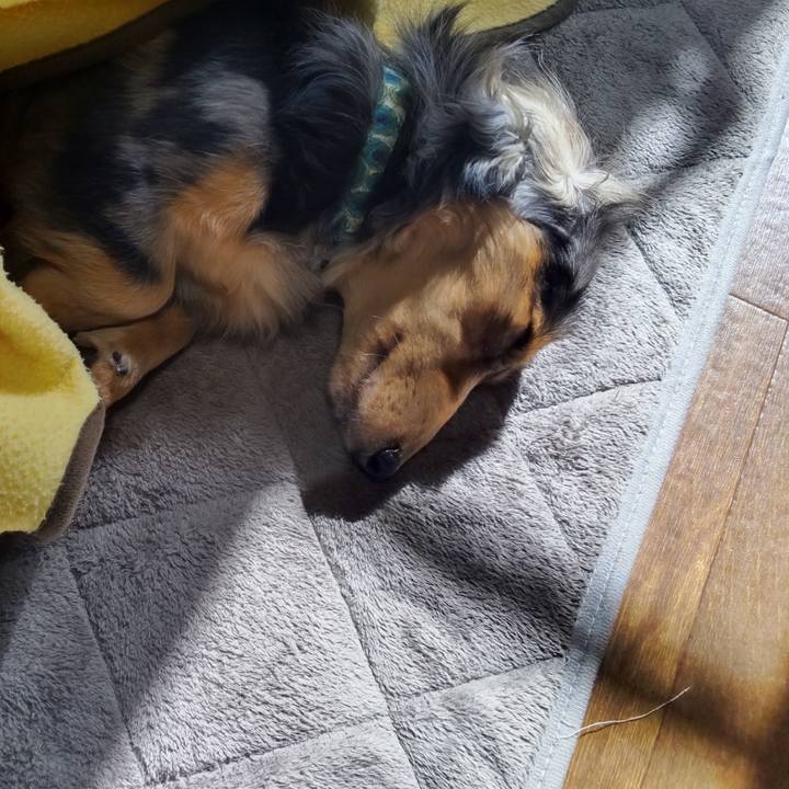 F9fc1e5f 5f67 4979 81a3 c68670ff7dd3 1708738527174