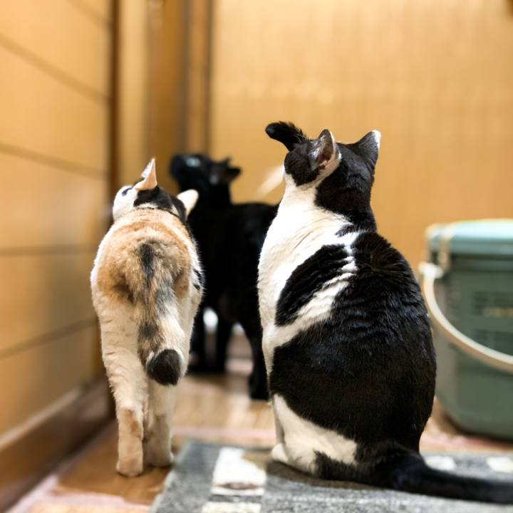 F9fc2a7e 0db4 4605 b884 6495b68c829a 1593998420524