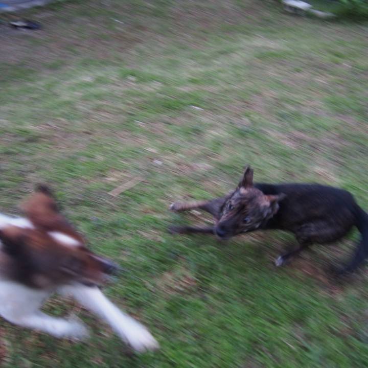 F9fc3149 86a5 4f74 bb29 dfc68a607ac7 1539946264778