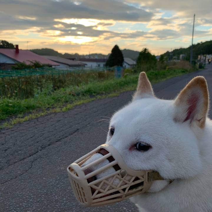 F9fc33bf 487b 4109 b7b9 9bd078c6ece5 1599341675092