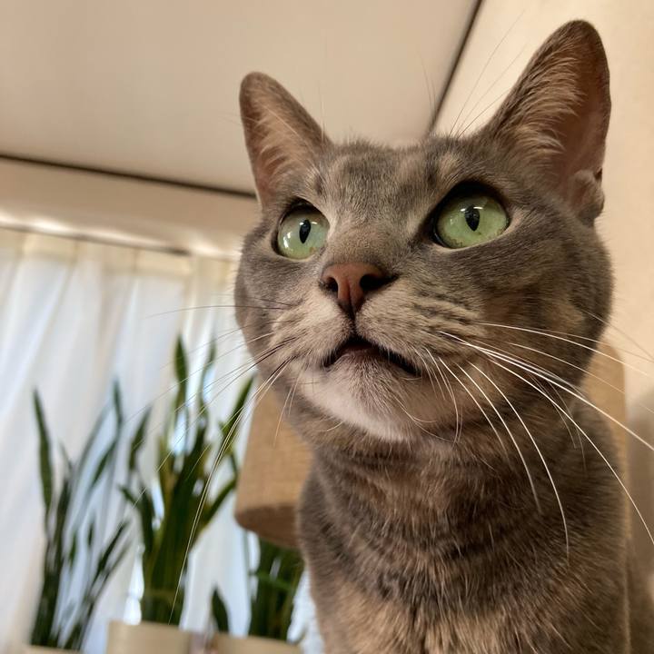 F9fc3d3d 3da0 477e baa3 6aa352389f08 1638060039630