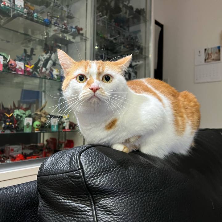 F9fc501c 6a03 4d28 852a da6bc1f403e2 1767611951114