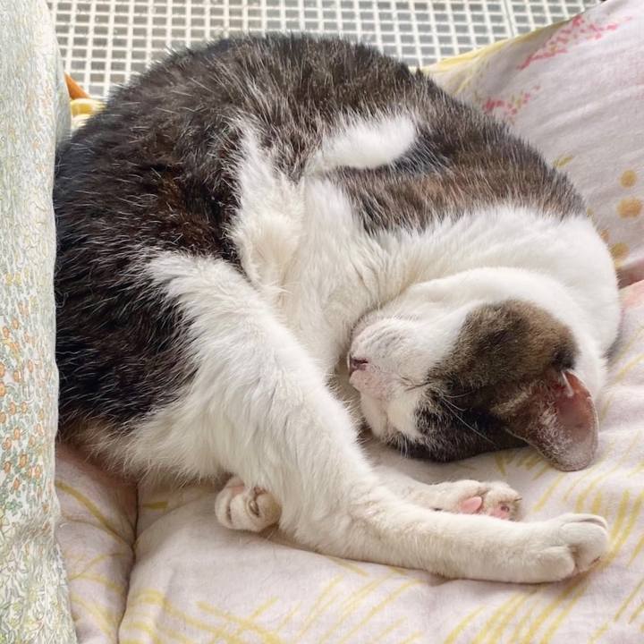 F9fc50e3 a5ce 404c 980f 3b9faf1a46b8 1615386379522