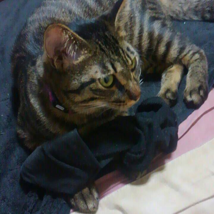 F9fcbdf2 da24 4479 904a 8d973f462b3e 1562211046035