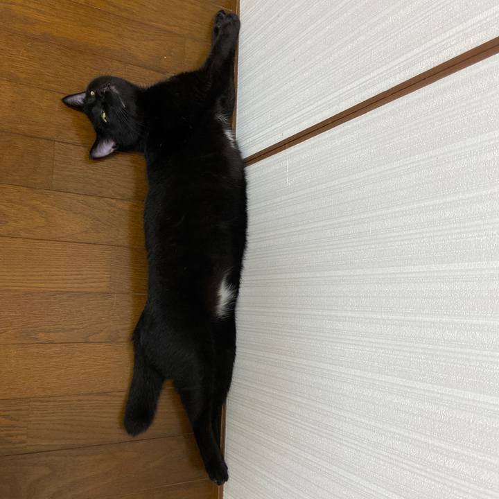 F9fcc4df c020 406b ad73 1cb0c4e6f2ba 1630408935968