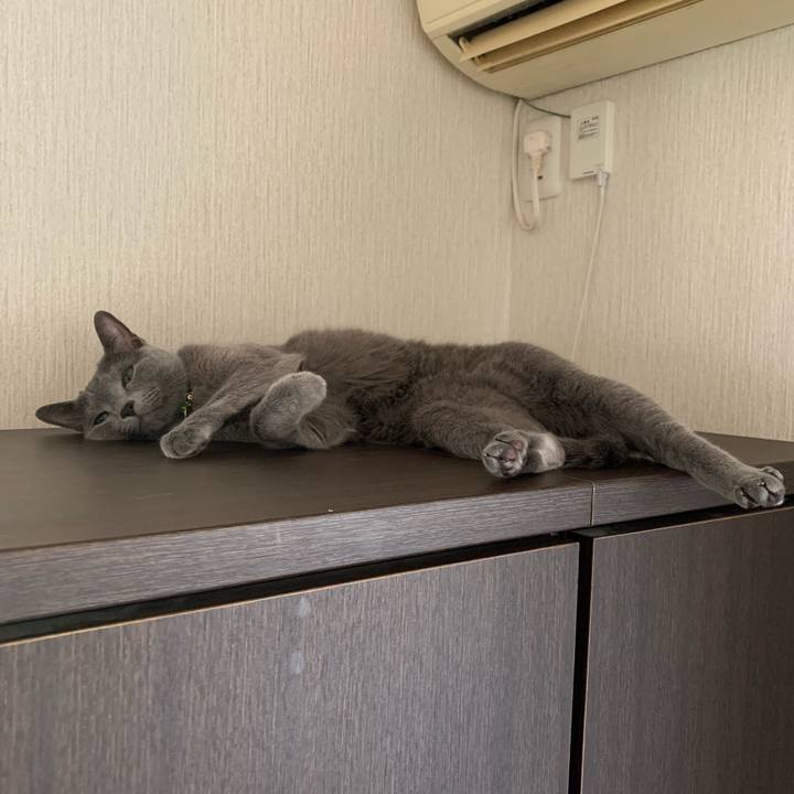 F9fcd581 ea82 437b 8ea6 3b350128f2d0 1640306414157