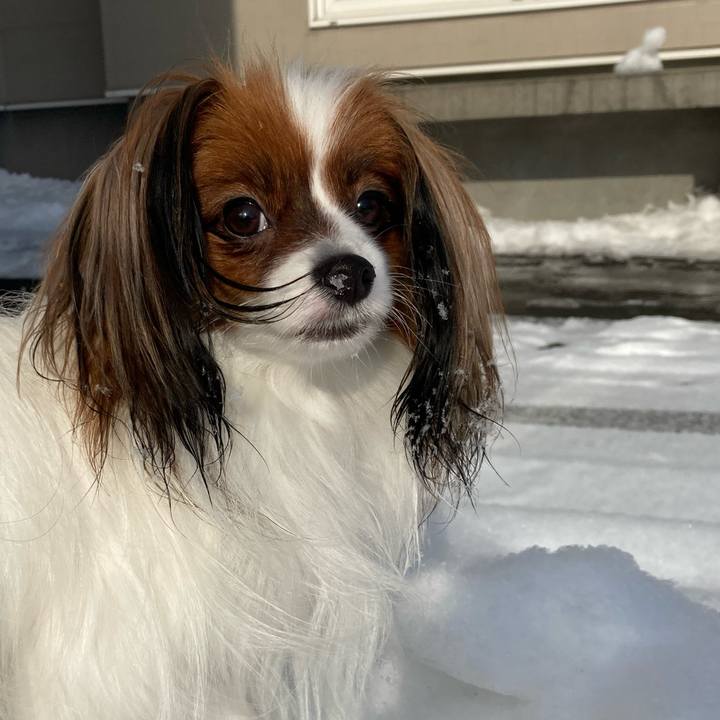 F9fd0655 7a9e 4232 963f b250f54bf106 1641608631412