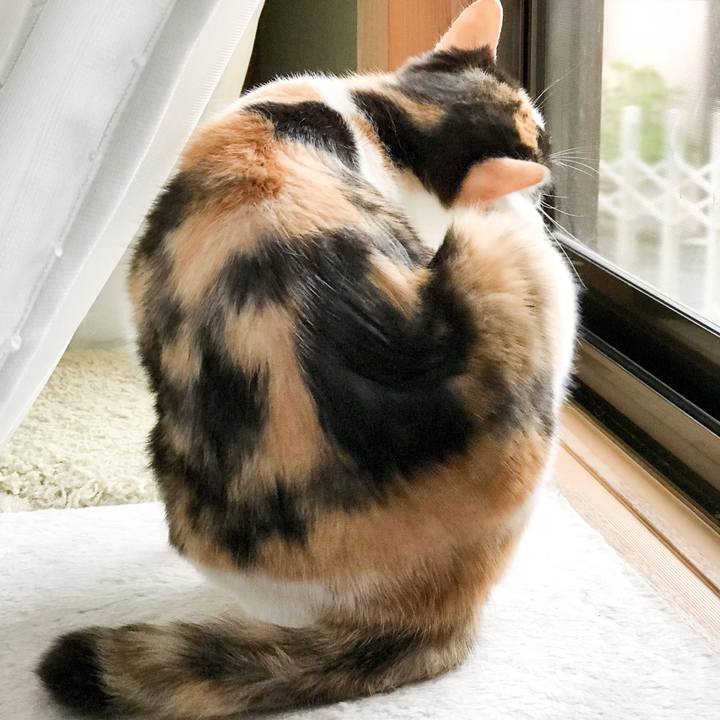 F9fd19e0 1820 4dde ba6c abc8cf21552e 1529892509844