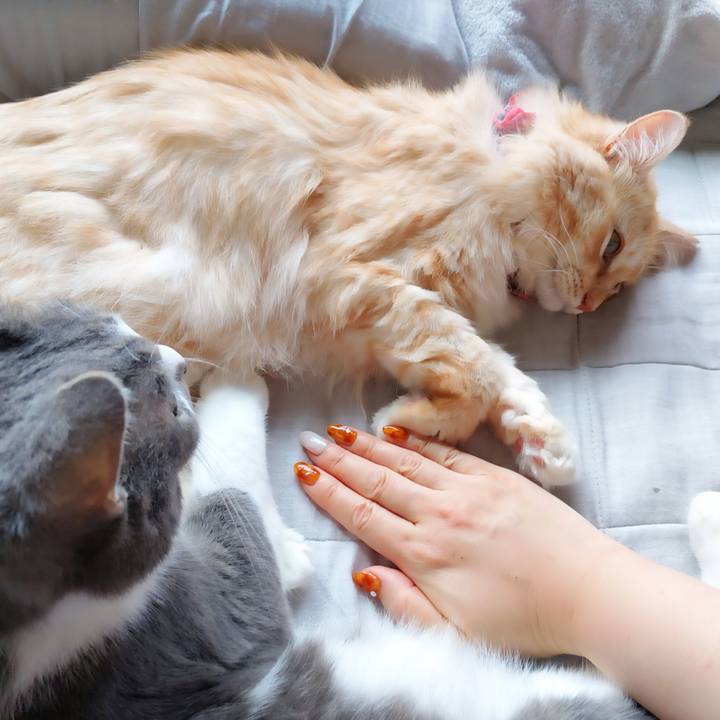 F9fd20db d986 4108 bb43 a8398cd65000 1662174657077