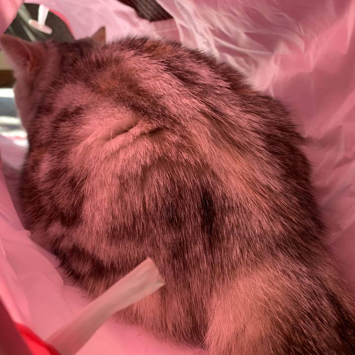 F9fd4069 4a37 43b0 820c b35638b96e8d 1709421772096