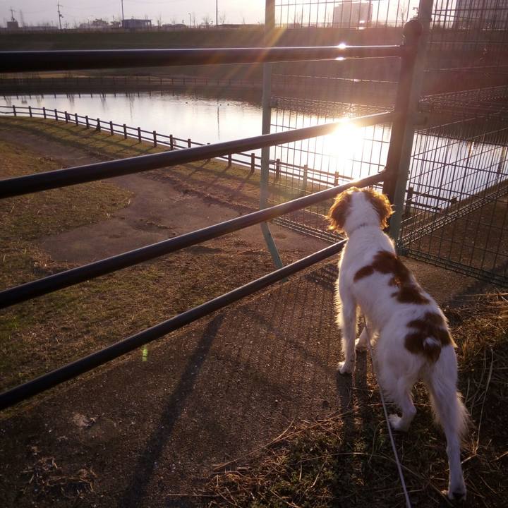 F9fd76f4 f377 4118 84c4 6f14853287f3 1516104278775