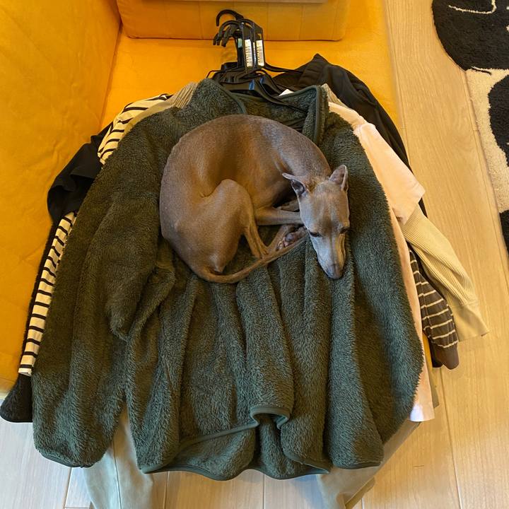 F9fda3b5 0fd4 45cd 92d5 4069f4c12294 1765490768299