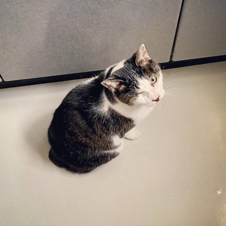 F9fdb4da 61d3 4bd4 834c 796326057598 1613118629096