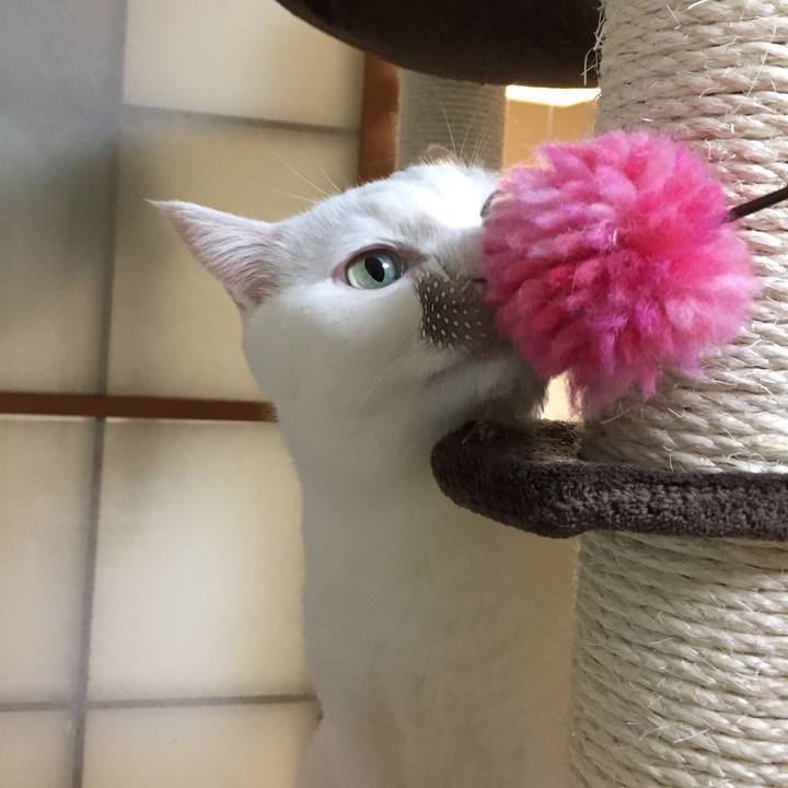 F9fdcc07 52a2 49a4 bc8e 2aca7749224b 1515153557027