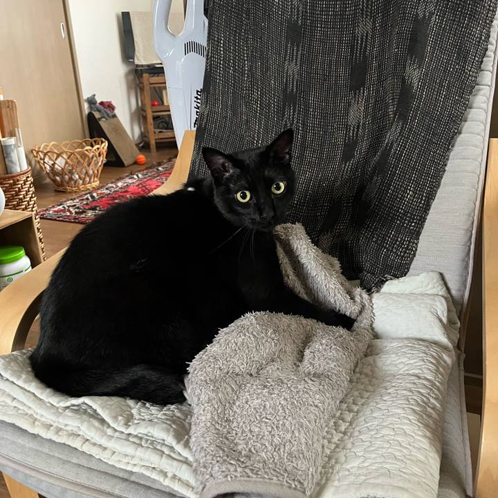 F9fdf8f6 4922 4a86 b983 26928372cea2 1748655519094