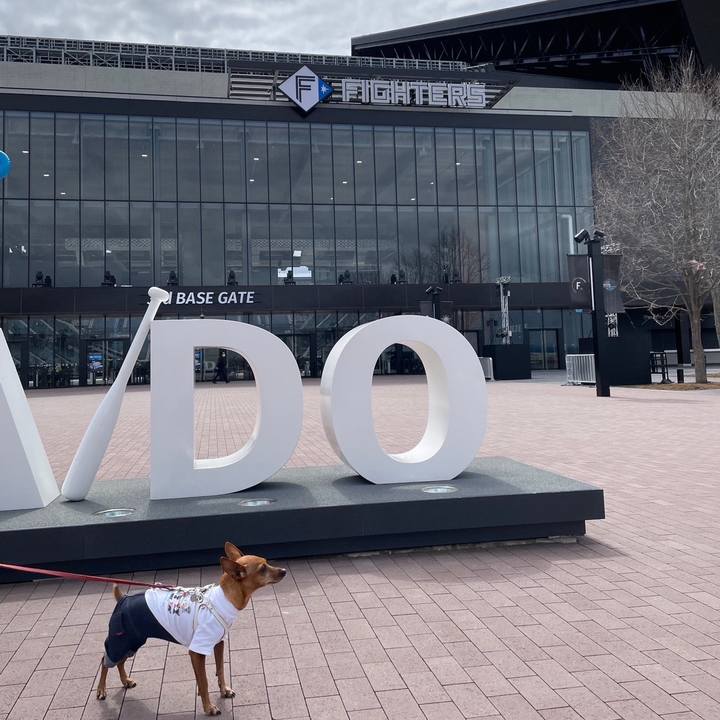 F9fe116c bb43 4fea 98bb 0a9fc6a75175 1682280561790