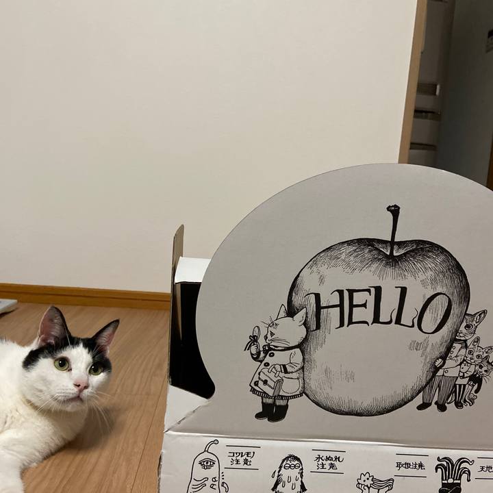 F9fe9a18 f28c 4c34 b4b5 f9aa959f3641 1603540610988