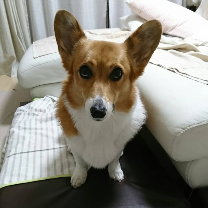 F9feae47 9138 4d87 9234 ffa8d9e5e266 1510145248719