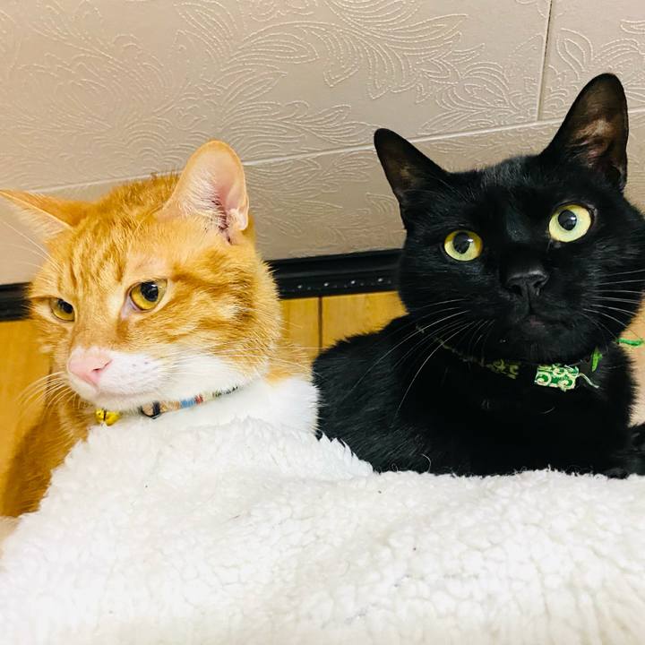 F9feb6a4 e91f 46d3 9388 281722055f72 1670538591812