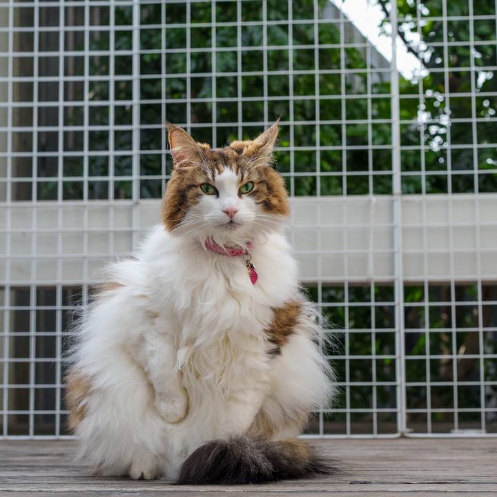 F9fedbf3 2d3e 4fbe 8ca5 9f7ec807505d 1769408192535