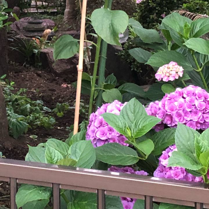 F9fee8e7 20d0 43e7 b0ac f5656848b483 1591489738002