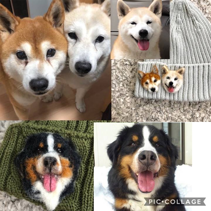 F9ff2522 02f7 4526 bd9f 65321a4491ec 1567905762803