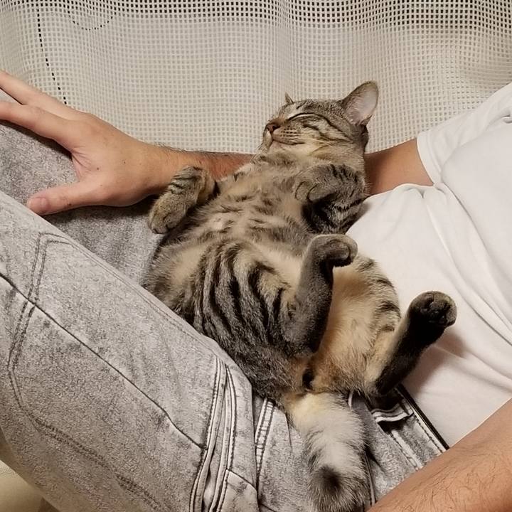 F9ff26b1 af9e 478d a9b9 31cb575071f4 1673653824943