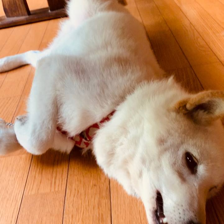 F9ff2705 45cc 4fa1 bda6 dc580e9eee56 1562187163213