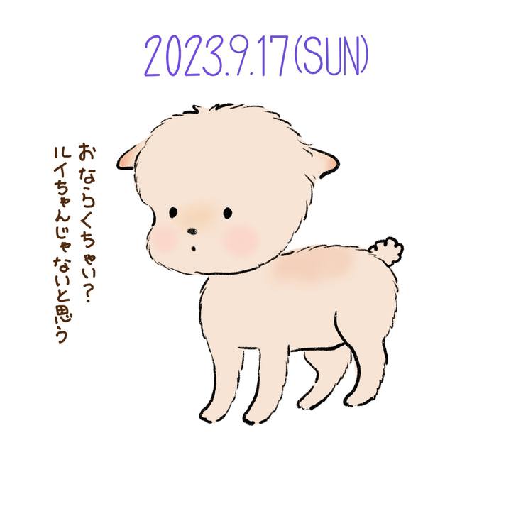 F9ff2827 c3e2 4dce a53b 4e2331438a80 1694923775361