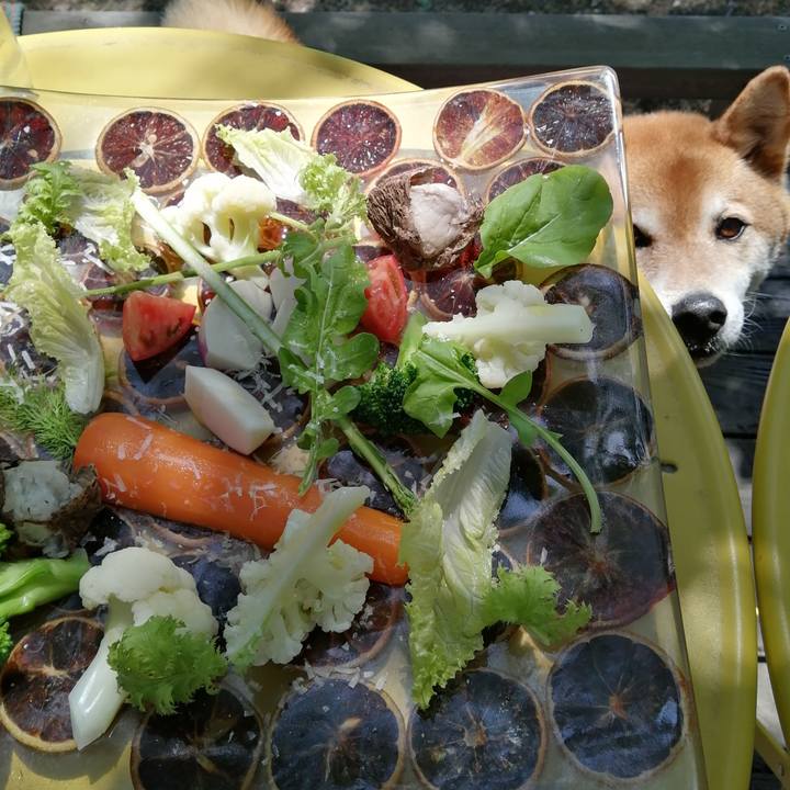 F9ff28be 9b07 4a0d ba67 0032fe10bfba 1683631754389