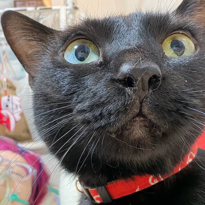 F9ff543f 3504 4475 91ee 0d9d7b47d1dc 1772368816728